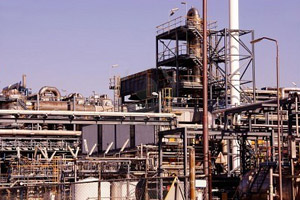 Intent Consultancy and Management Services, Dubai, Cyrus Mehta